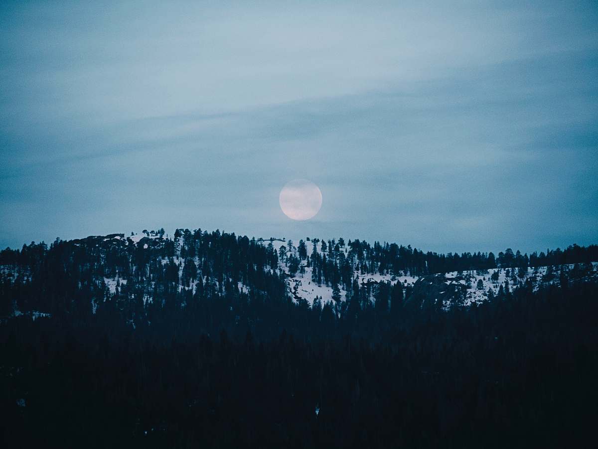 moon landscape photo of trees in forest at golden hour shaver lake